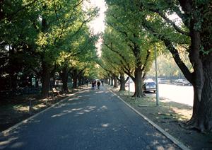 コバックのサービス内容について