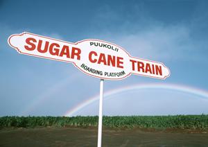 熊本市で後悔しない車検を受けたいなら