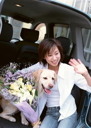 ステージトラックのレンタルができる