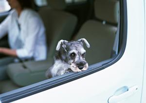 ディーラー並の車検を激安価格で提供